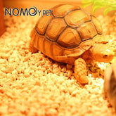 NOMOY Corn Cob NC 05